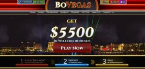 Bovegas Casino